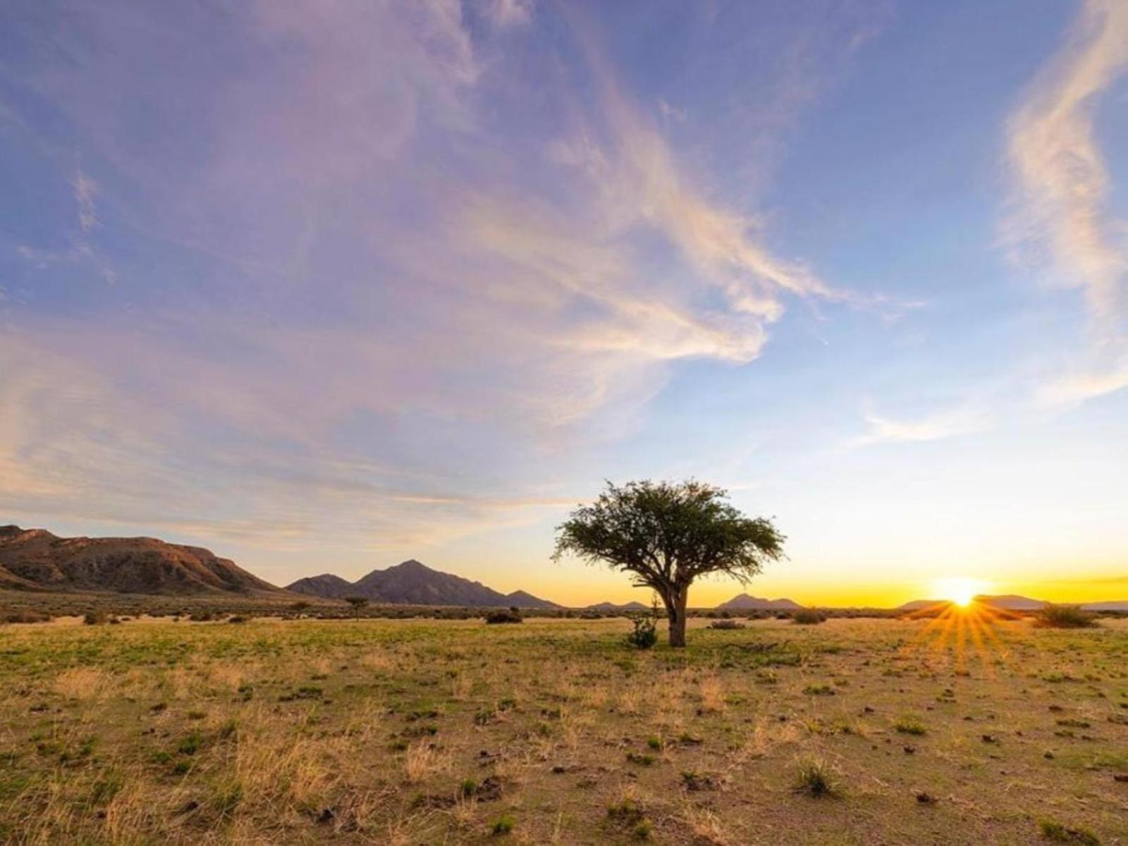 Camp Gecko - Private Nature Reserve; Tented Camp And Campsite Solitaire Exteriör bild
