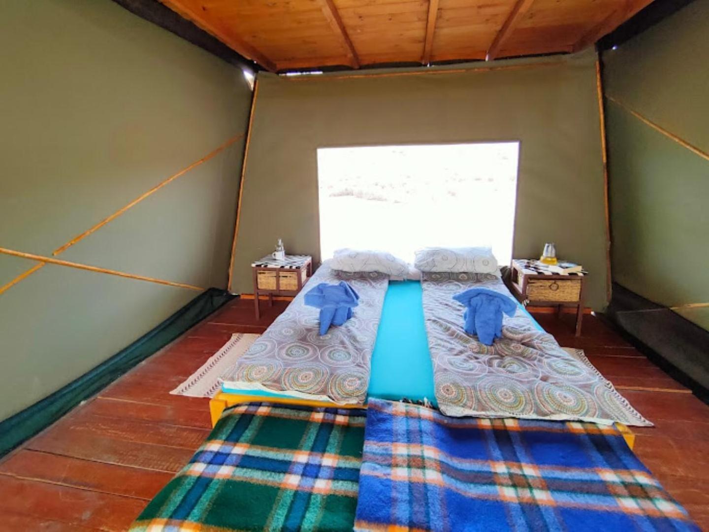 Camp Gecko - Private Nature Reserve; Tented Camp And Campsite Solitaire Exteriör bild