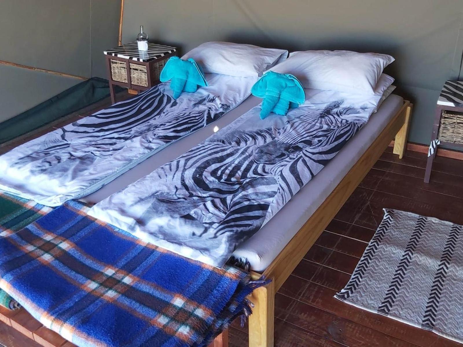 Camp Gecko - Private Nature Reserve; Tented Camp And Campsite Solitaire Exteriör bild